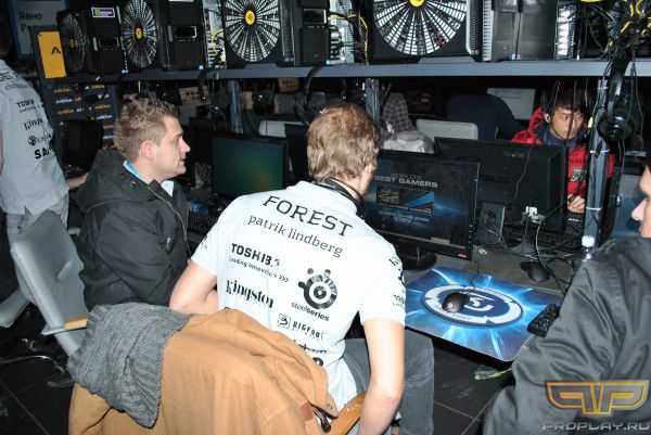 Robban и Forest
