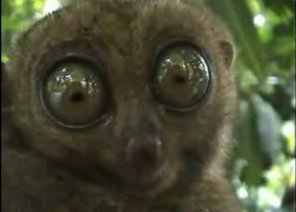 [не указано]