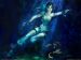 AR4ER [Michael Jackson Forever in my heart]:   .
