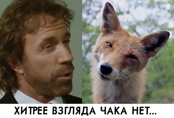 o_god: прожигает взглядом