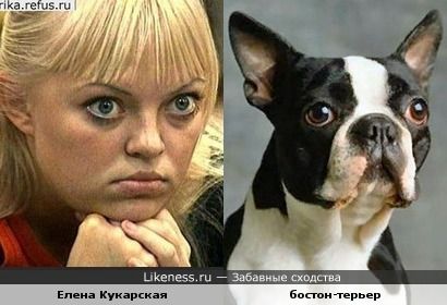 буйные ёпта блядь