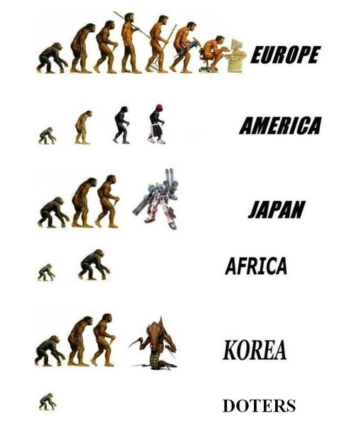 Дотеры